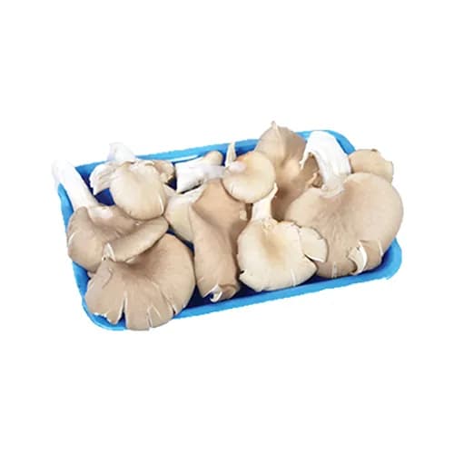 İstiridye Mantarı Paket 300 g - Naturel Manav