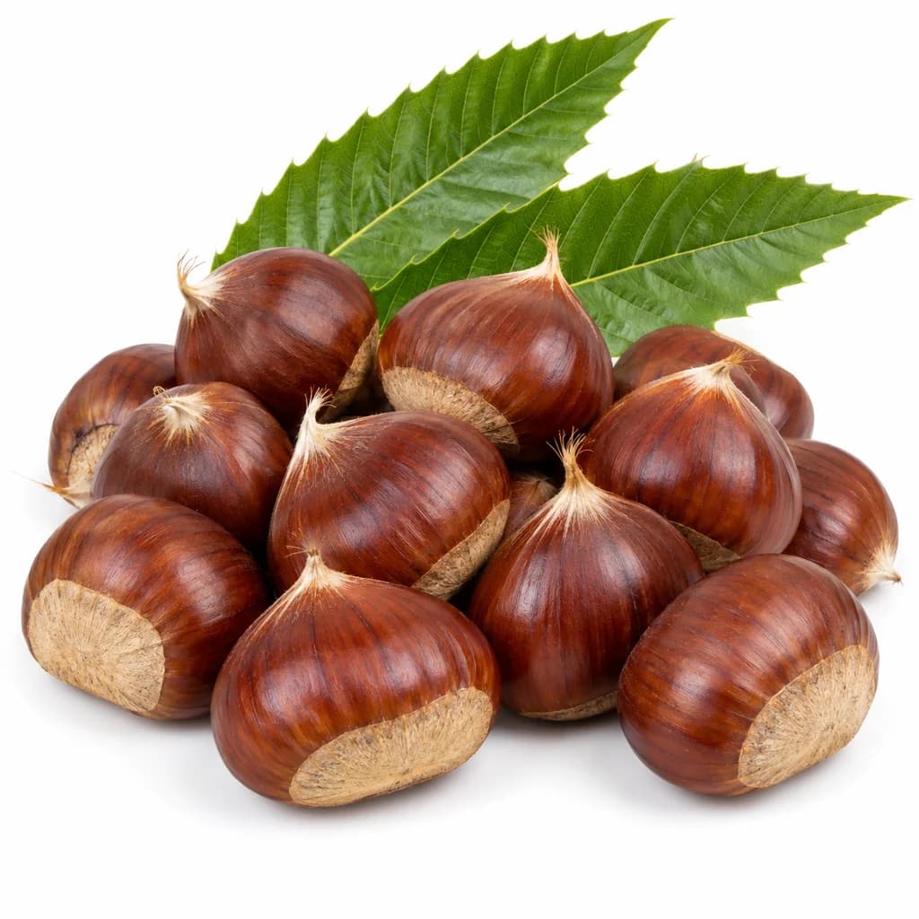 Kestane - Naturel Manav & Balık