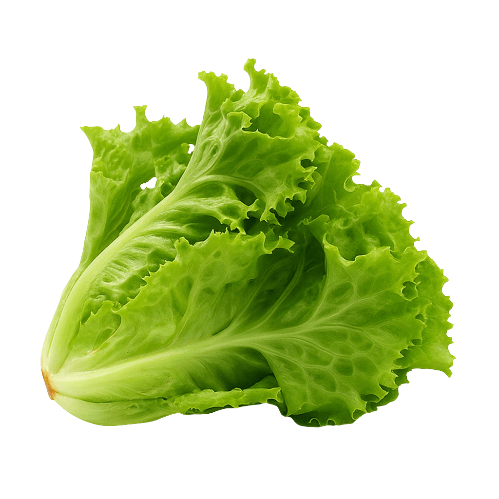 Kıvırcık görseli