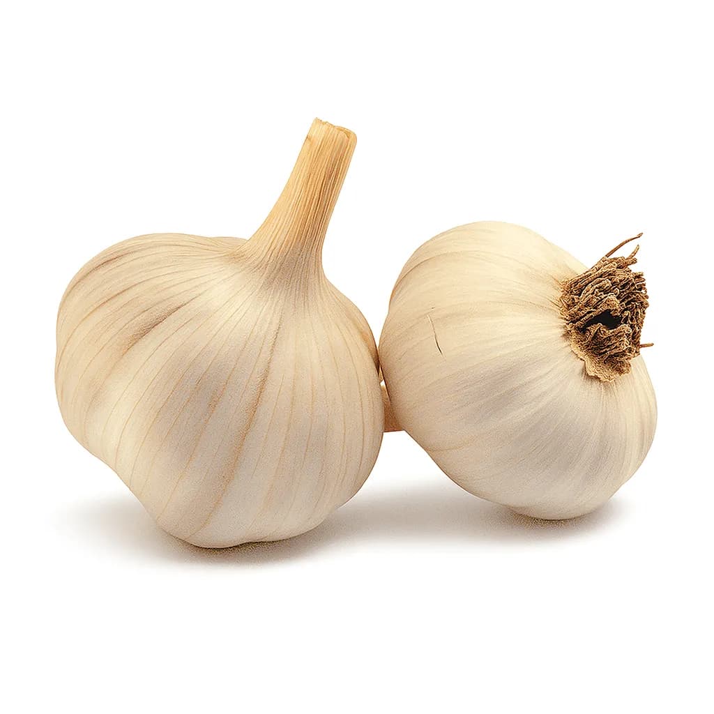 Sarımsak görseli