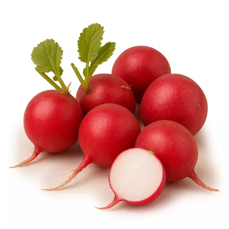 Fındık Turp görseli